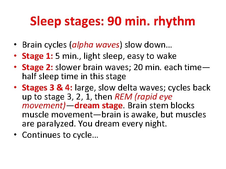 Sleep stages: 90 min. rhythm • Brain cycles (alpha waves) slow down… • Stage