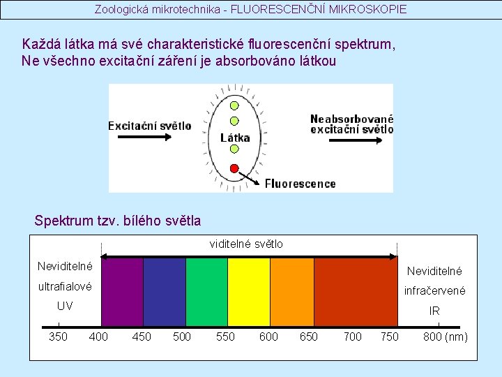 Zoologická mikrotechnika - FLUORESCENČNÍ MIKROSKOPIE Každá látka má své charakteristické fluorescenční spektrum, Ne všechno