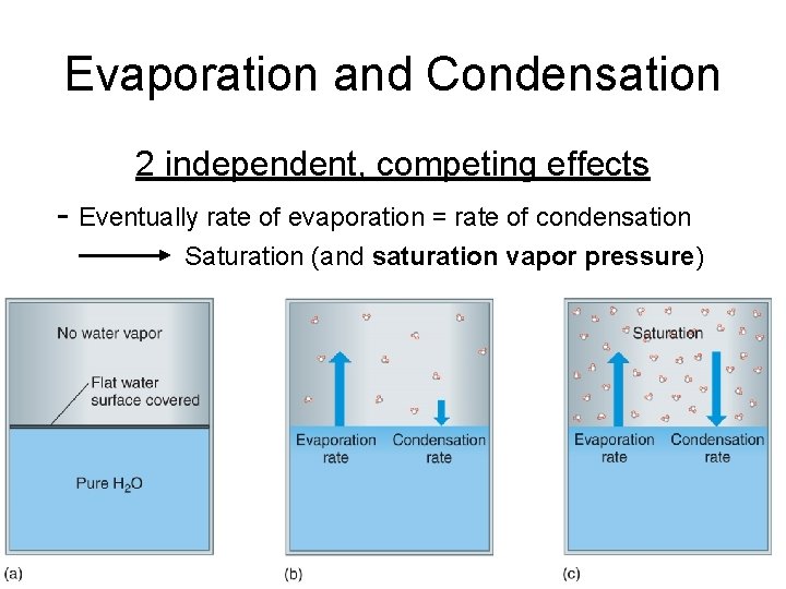 Evaporation and Condensation 2 independent, competing effects - Eventually rate of evaporation = rate