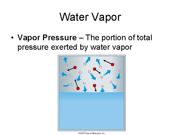 Water Vapor • Vapor Pressure – The portion of total pressure exerted by water