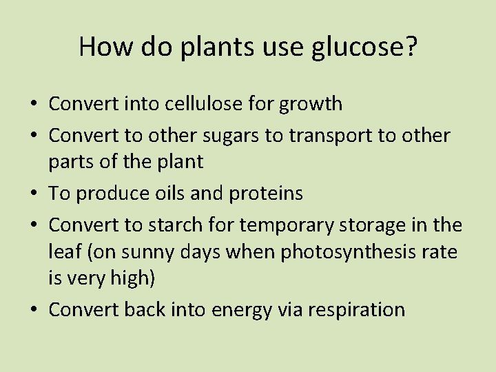 How do plants use glucose? • Convert into cellulose for growth • Convert to