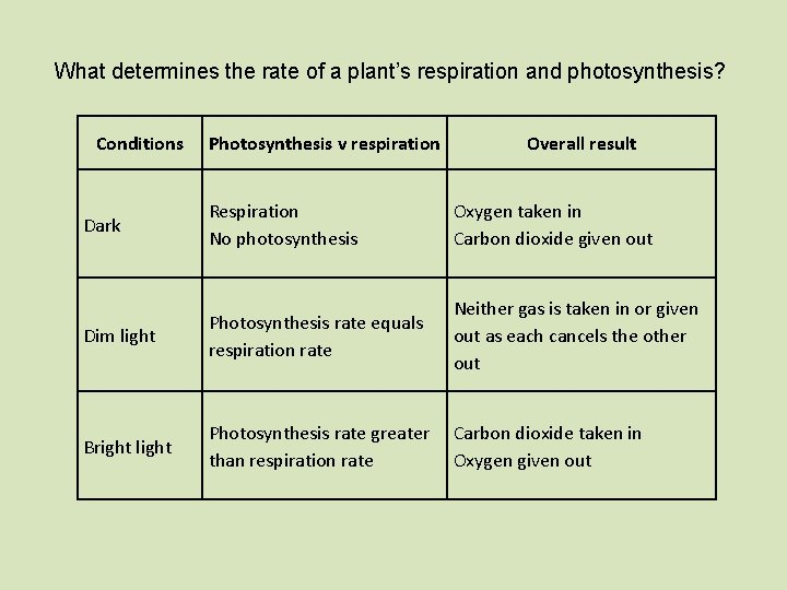 What determines the rate of a plant’s respiration and photosynthesis? Conditions Photosynthesis v respiration