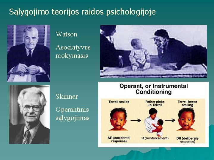 Sąlygojimo teorijos raidos psichologijoje Watson Asociatyvus mokymasis Skinner Operantinis sąlygojimas 