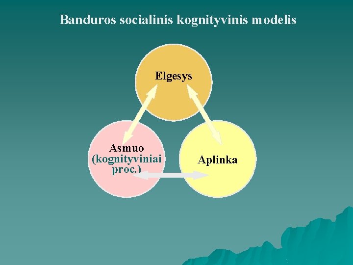 Banduros socialinis kognityvinis modelis Elgesys Asmuo (kognityviniai proc. ) Aplinka 