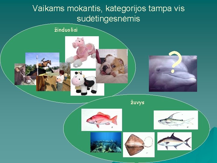 Vaikams mokantis, kategorijos tampa vis sudėtingesnėmis žinduoliai ? žuvys 