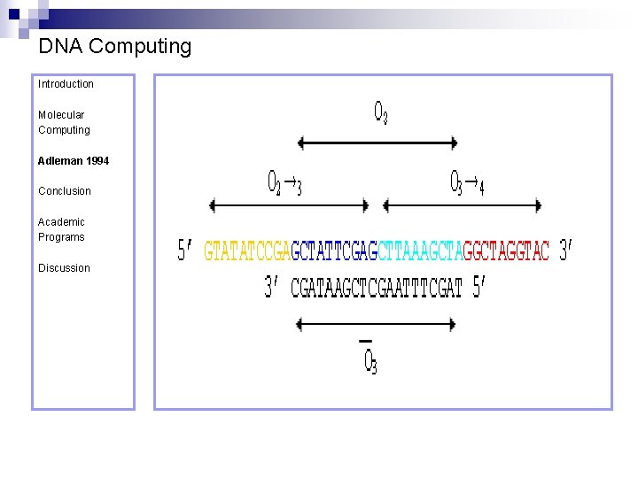 DNA Computing Introduction Molecular Computing Adleman 1994 Conclusion Academic Programs Discussion 