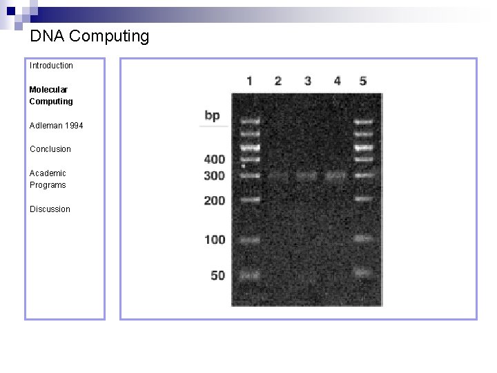 DNA Computing Introduction Molecular Computing Adleman 1994 Conclusion Academic Programs Discussion 