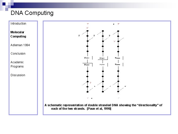 DNA Computing Introduction Molecular Computing Adleman 1994 Conclusion Academic Programs Discussion A schematic representation