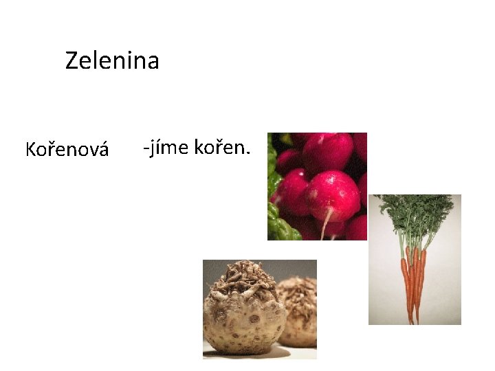 Zelenina Kořenová -jíme kořen. 