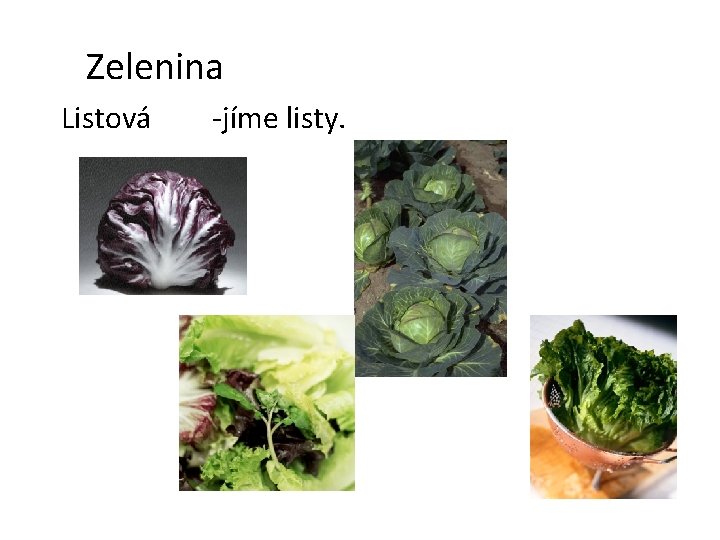 Zelenina Listová -jíme listy. Zelenina Listová -jíme listy.