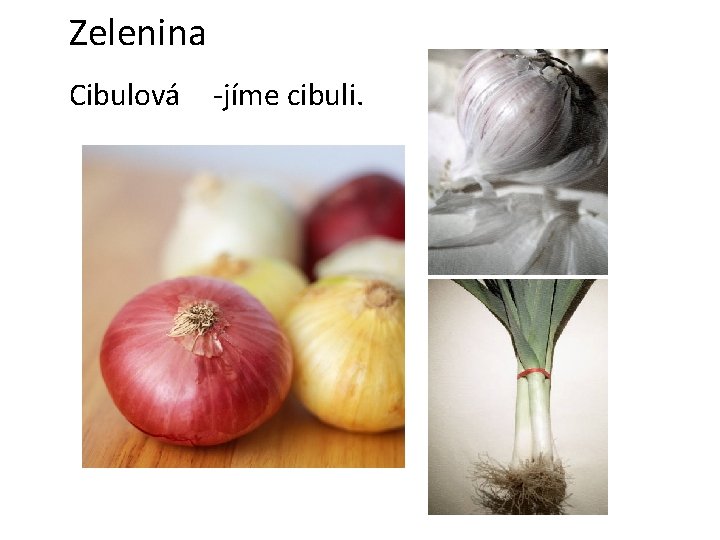 Zelenina Cibulová -jíme cibuli. 