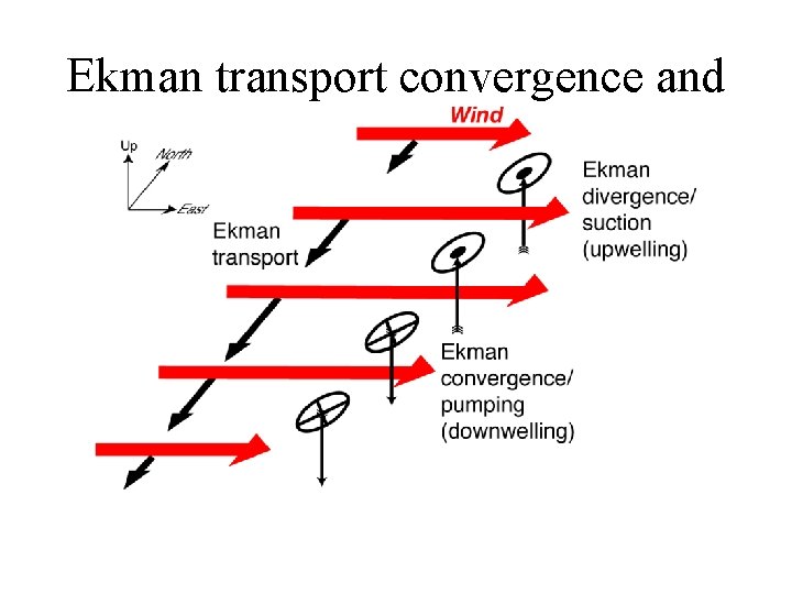 Ekman transport convergence and divergence 
