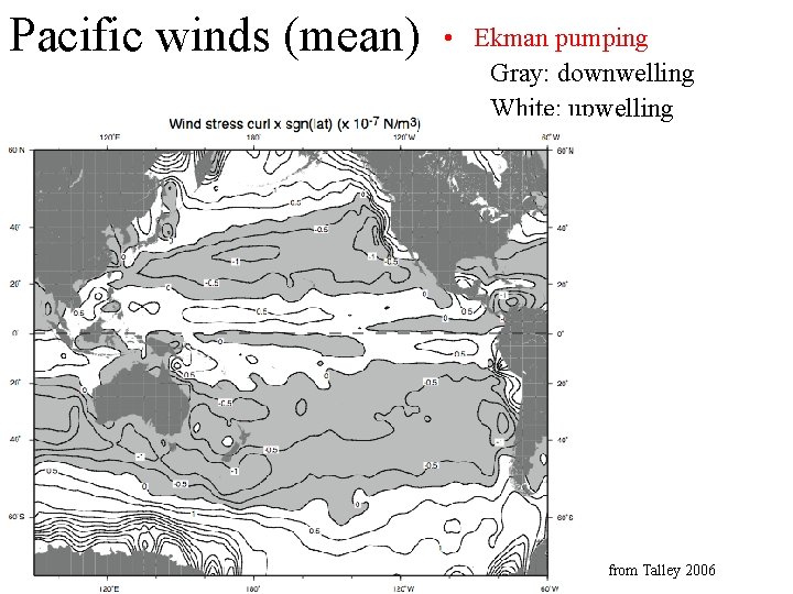 Pacific winds (mean) • Ekman pumping Gray: downwelling White: upwelling from Talley 2006 