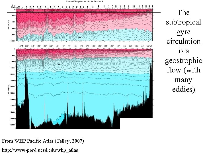 The subtropical gyre circulation is a geostrophic flow (with many eddies) From WHP Pacific