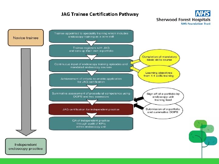 JAG Trainee Certification Pathway 