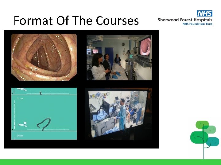 East Midlands Endoscopy Training Centre Staff Story 2020