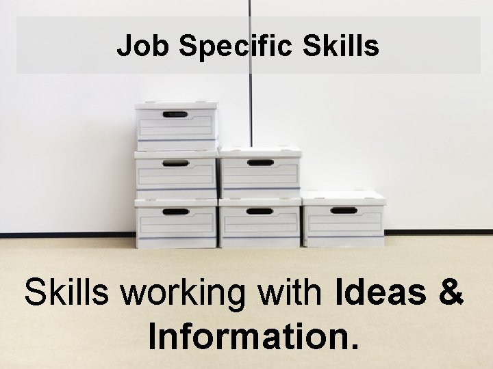 Job Specific Skills working with Ideas & Information. 