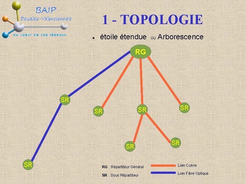 1 - TOPOLOGIE étoile étendue ou Arborescence RG SR SR RG : Répartiteur Général