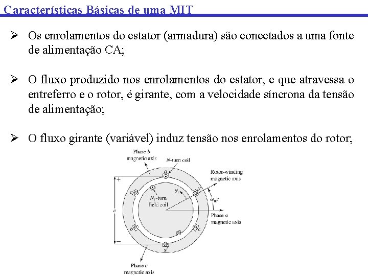 Características Básicas de uma MIT Ø Os enrolamentos do estator (armadura) são conectados a