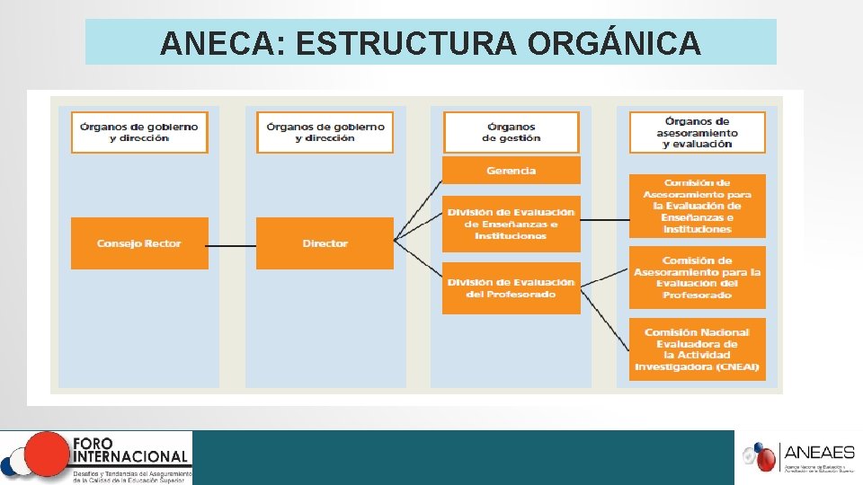 ANECA: ESTRUCTURA ORGÁNICA ANECA: ESTRUCTURA ORGÁNICA