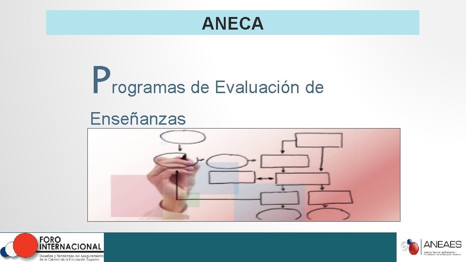 ANECA Programas de Evaluación de Enseñanzas ANECA Programas de Evaluación de Enseñanzas
