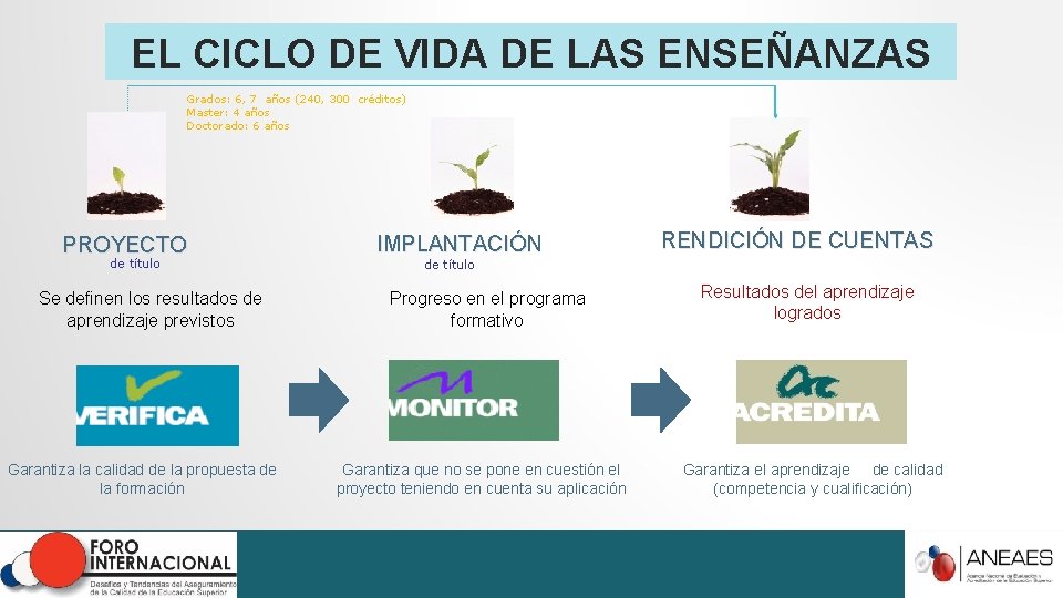 EL CICLO DE VIDA DE LAS ENSEÑANZAS Grados: 6, 7 años (240, 300 créditos) EL CICLO DE VIDA DE LAS ENSEÑANZAS Grados: 6, 7 años (240, 300 créditos)