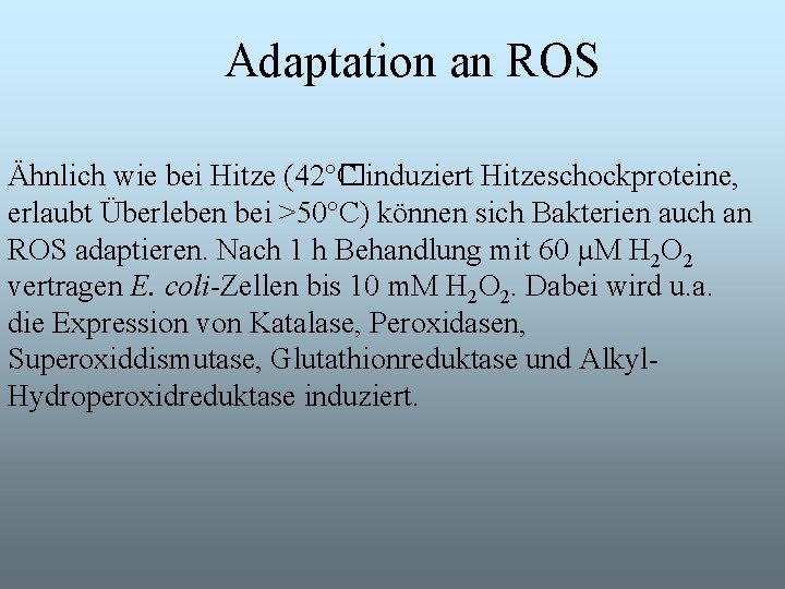 Adaptation an ROS Ähnlich wie bei Hitze (42°� C induziert Hitzeschockproteine, erlaubt Überleben bei