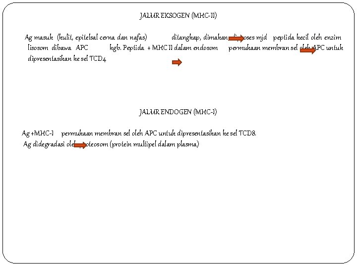 JALUR EKSOGEN (MHC-II) Ag masuk (kulit, epitelsal cerna dan nafas) ditangkap, dimakan, diproses mjd