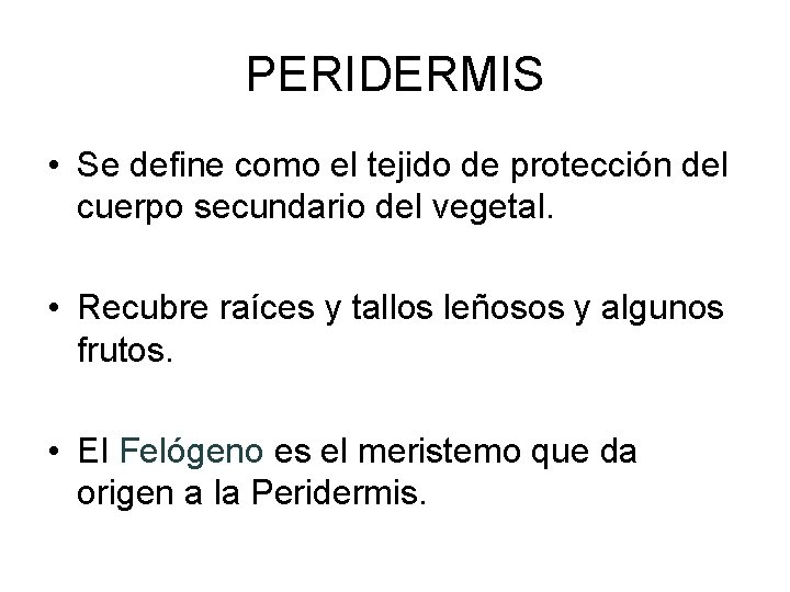 PERIDERMIS • Se define como el tejido de protección del cuerpo secundario del vegetal.