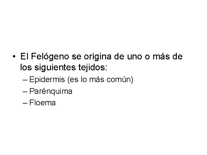  • El Felógeno se origina de uno o más de los siguientes tejidos: