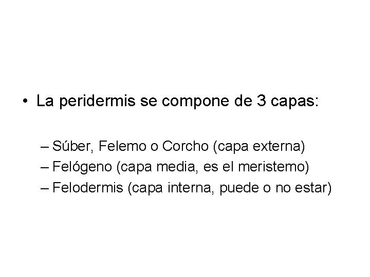  • La peridermis se compone de 3 capas: – Súber, Felemo o Corcho