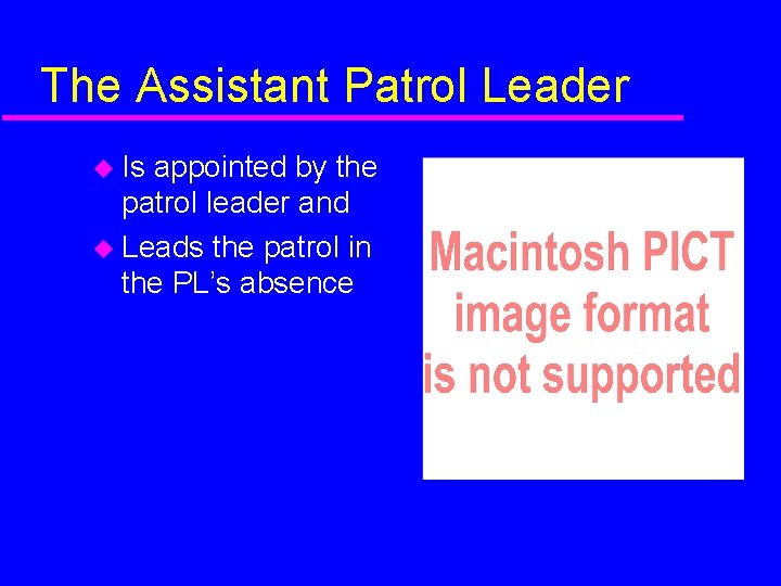 The Assistant Patrol Leader Is appointed by the patrol leader and Leads the patrol