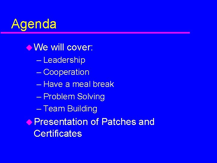 Agenda We will cover: – Leadership – Cooperation – Have a meal break –