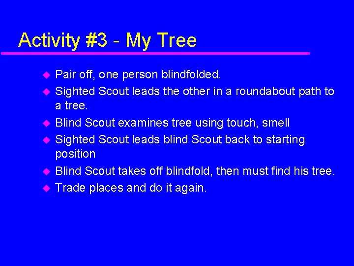 Activity #3 - My Tree Pair off, one person blindfolded. Sighted Scout leads the
