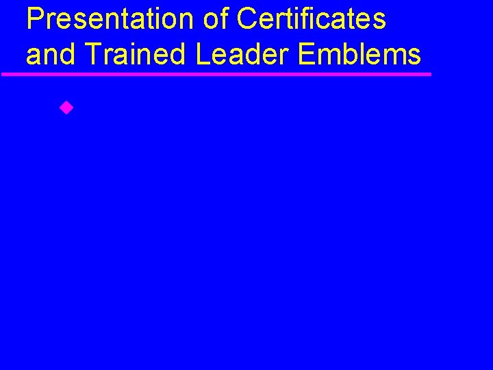 Presentation of Certificates and Trained Leader Emblems 