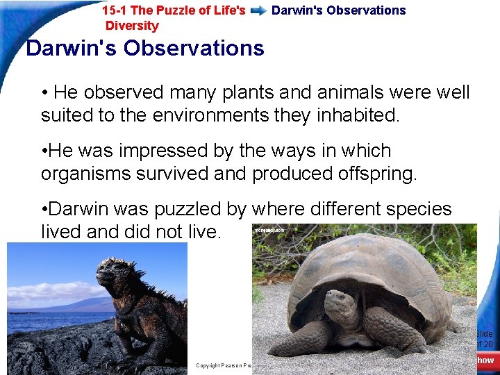 15 -1 The Puzzle of Life's Diversity Darwin's Observations • He observed many plants