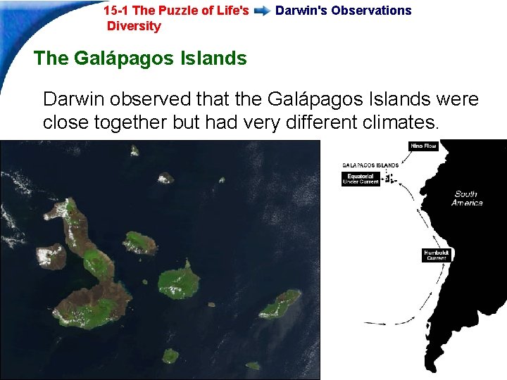 15 -1 The Puzzle of Life's Diversity Darwin's Observations The Galápagos Islands Darwin observed