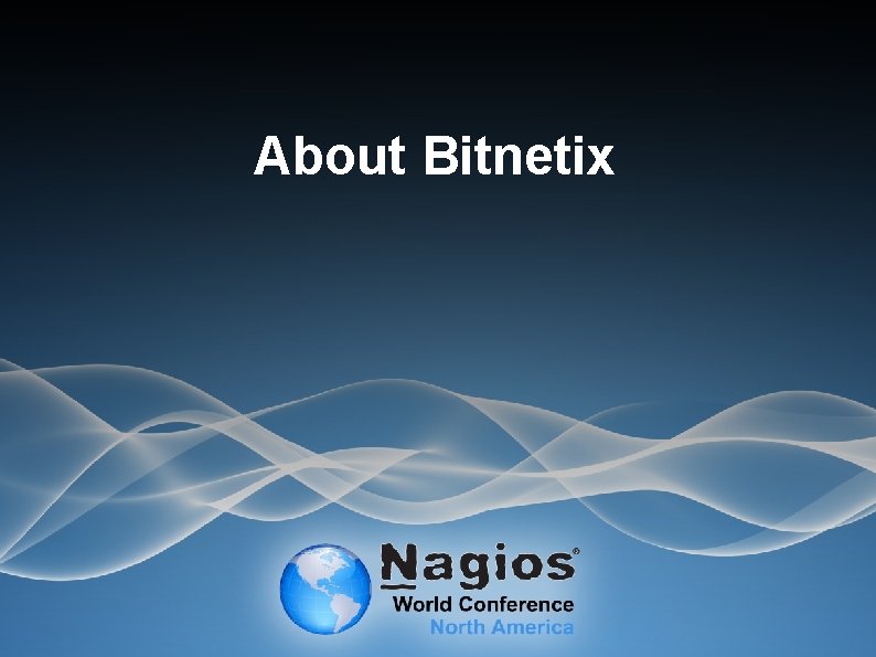 About Bitnetix 