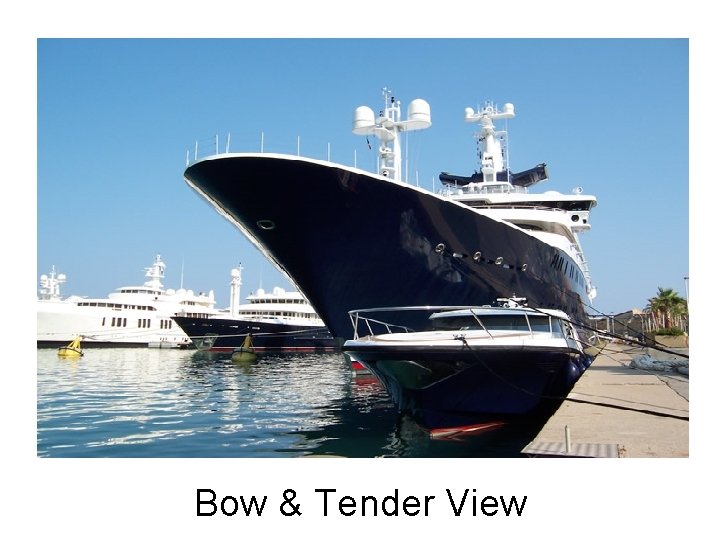 Bow & Tender View 