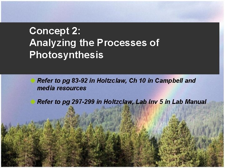 Concept 2: Analyzing the Processes of Photosynthesis u Refer to pg 83 -92 in Concept 2: Analyzing the Processes of Photosynthesis u Refer to pg 83 -92 in