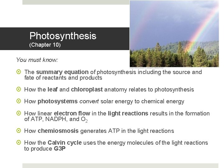 Photosynthesis (Chapter 10) You must know: The summary equation of photosynthesis including the source