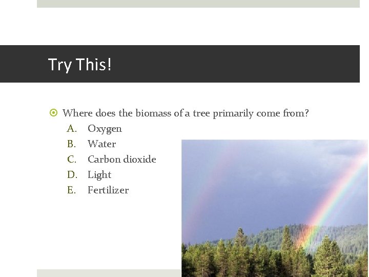 Try This! Where does the biomass of a tree primarily come from? A. Oxygen Try This! Where does the biomass of a tree primarily come from? A. Oxygen