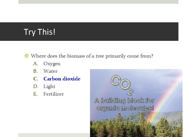 Try This! Where does the biomass of a tree primarily come from? A. Oxygen