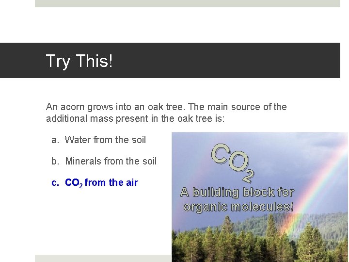 Try This! An acorn grows into an oak tree. The main source of the