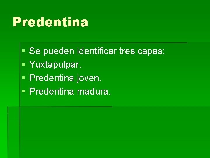 Predentina § § Se pueden identificar tres capas: Yuxtapulpar. Predentina joven. Predentina madura. 