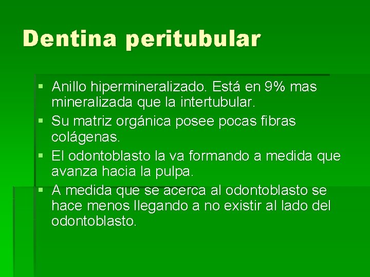 Dentina peritubular § Anillo hipermineralizado. Está en 9% mas mineralizada que la intertubular. §