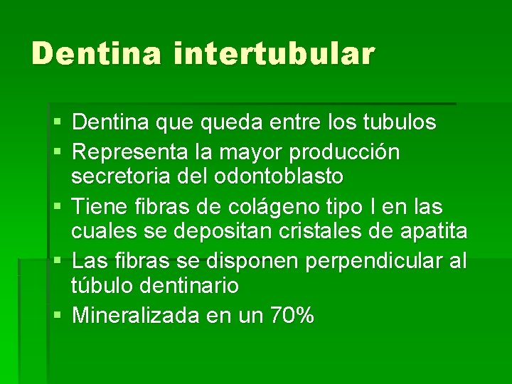 Dentina intertubular § Dentina queda entre los tubulos § Representa la mayor producción secretoria