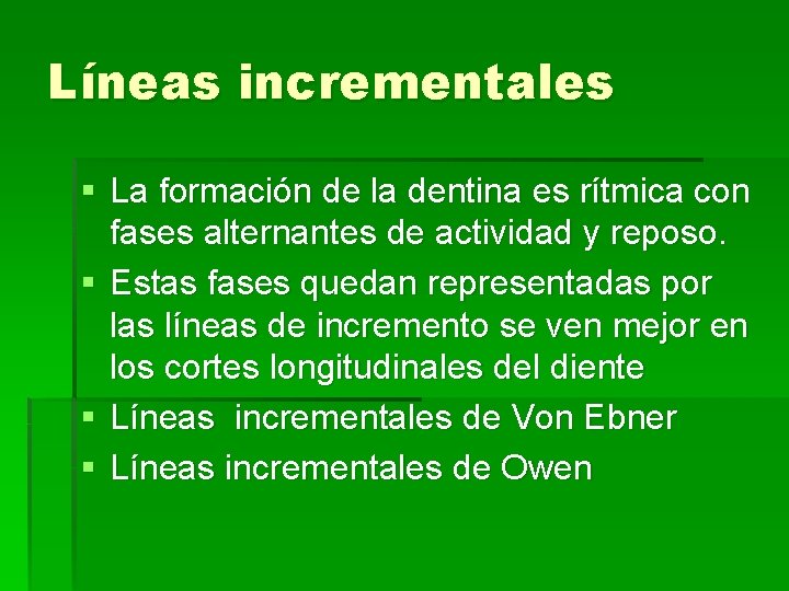 Líneas incrementales § La formación de la dentina es rítmica con fases alternantes de
