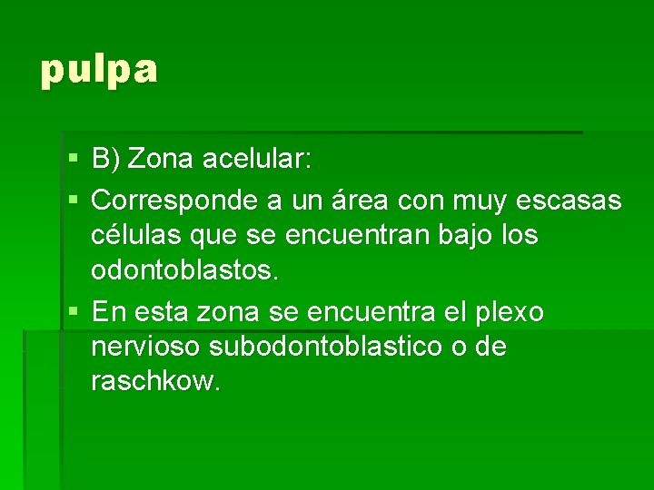 pulpa § B) Zona acelular: § Corresponde a un área con muy escasas células