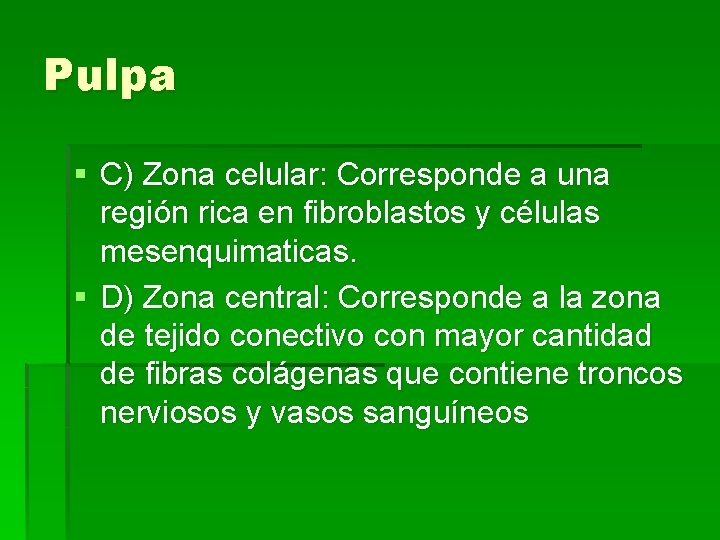 Pulpa § C) Zona celular: Corresponde a una región rica en fibroblastos y células